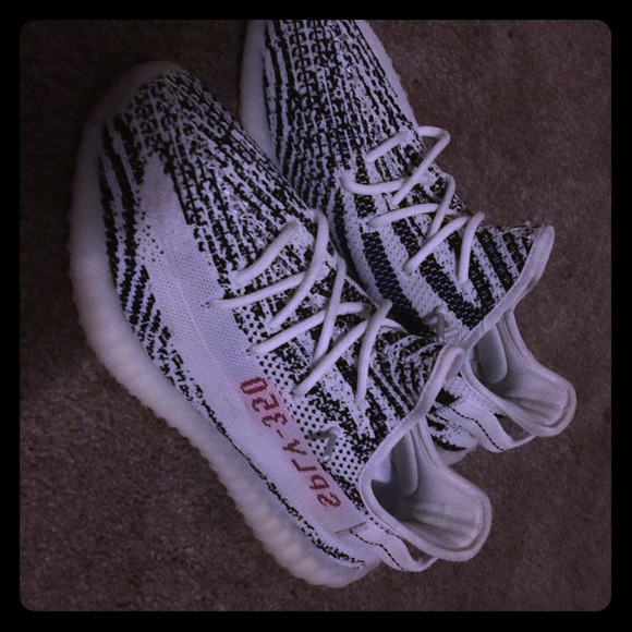 Zebra Yeezy Authentic - Picture 1 of 3